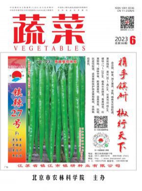 蔬菜期刊